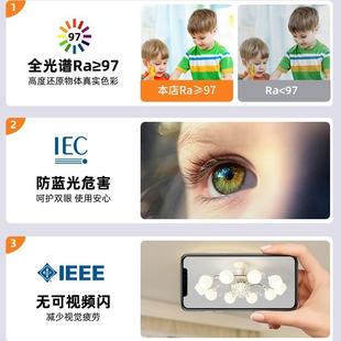 法式 隐形风2扇灯温馨意创水晶客吸 奶油风PMP大厅主灯025年新厅款