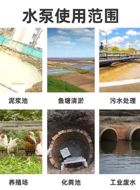 NL立式污水泥浆泵1.泥5WNB-22KW河淤市政道清污长耐轴磨不堵塞污