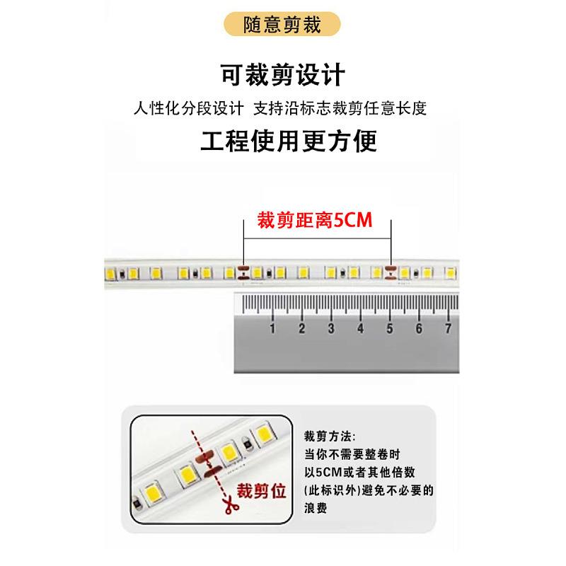 装饰灯室外工程款带家用软灯灯条楼亮化桥TYNDD-01梁LED宇户外太图片
