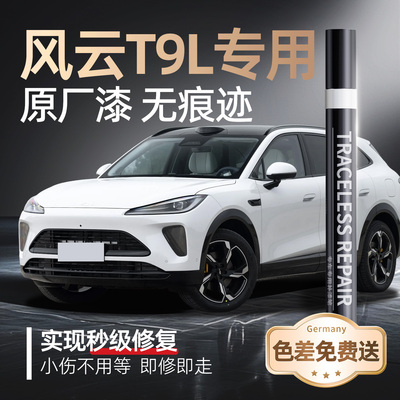 【风云T9L】专用原车原色补漆笔
