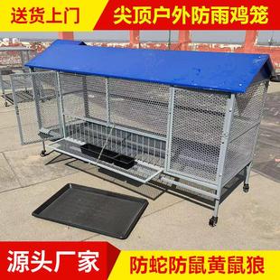 鸡笼家用室外防黄鼠狼饲养笼铁丝网鸽子鸭兔不锈钢芦丁鸡密养殖笼