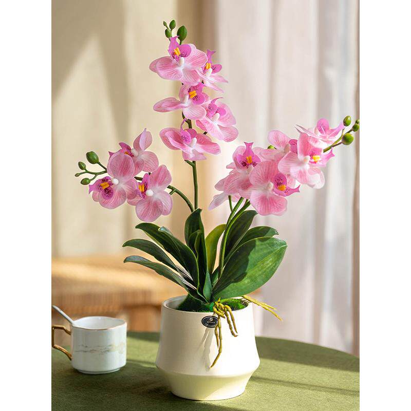 粉色蝴蝶兰彷真盆栽套装绿植花艺室内家居装饰精致优雅摆件