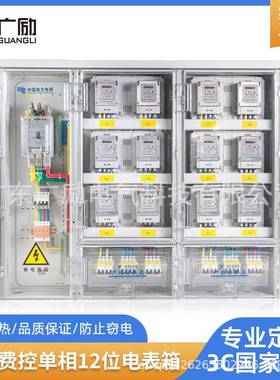 21款单相12位南方电网费控塑料电表箱配电箱电力厂家