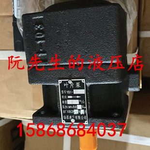 仙居液压有限公司叶片泵YB1 100