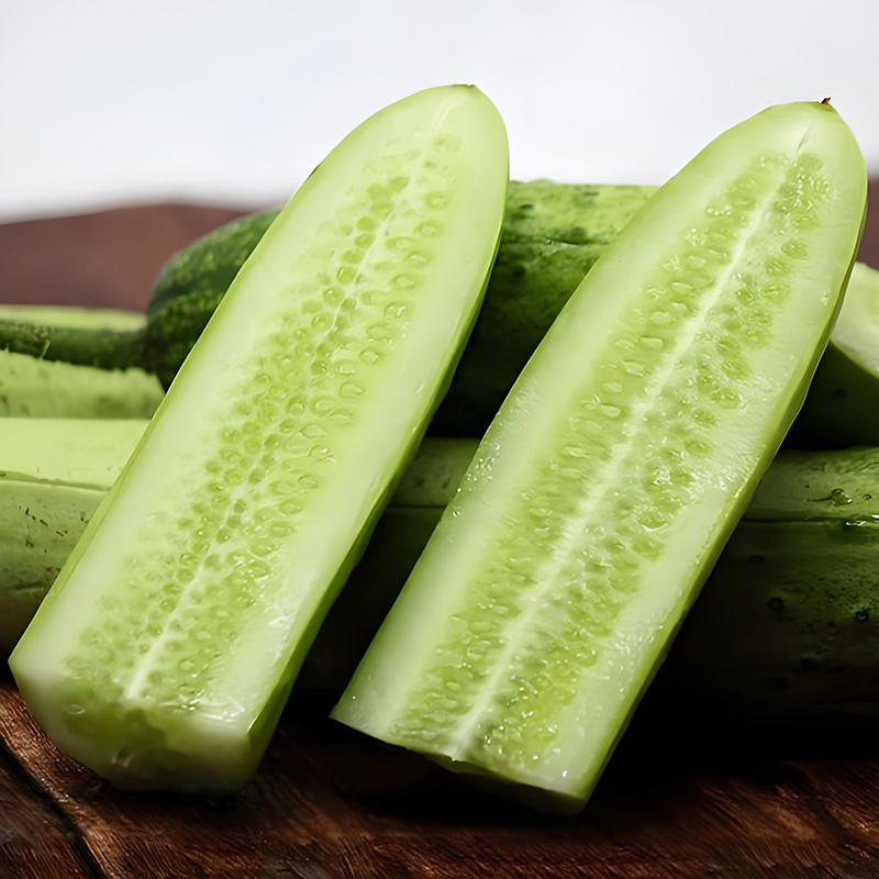 四季盆栽106水果黄瓜种子