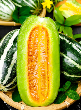 甜瓜种子四季播种高产香甜瓜籽家庭园艺阳台种植蔬菜籽