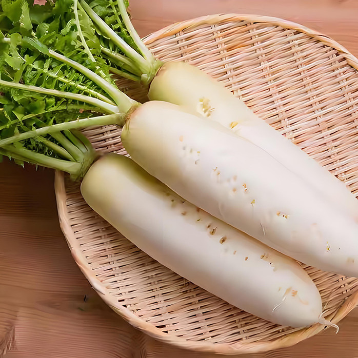 白萝卜种子阳台盆栽蔬菜籽四季播种易种家庭园艺蔬菜苗