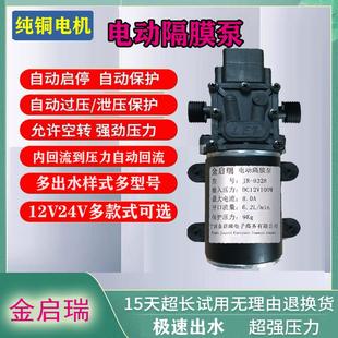 24V微型增压泵自吸抽水喷雾器水泵清洗机直流高压电动隔膜泵