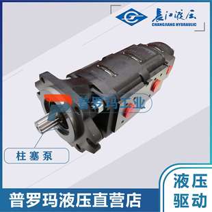 CBL5180 CBL5200 A1R A1L B1L 四川长江液压齿轮泵 B1R CBL5100