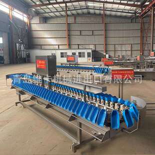 称重分选机 鸡爪黄花鱼在线称重分拣机 牡蛎海参分级机流水线设计