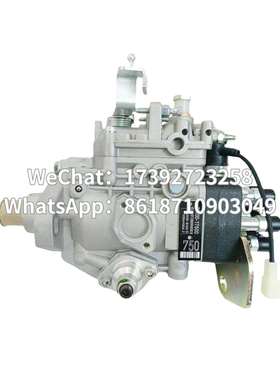 高品质油泵总成 22100-17500 VE6/10F2000RND835 096000-8350