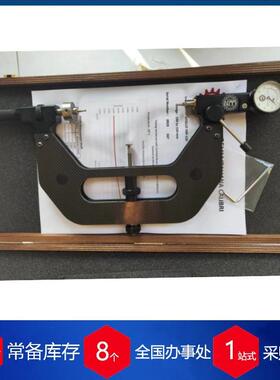 优势意大利DEMM数显千分表DM-MICRO100