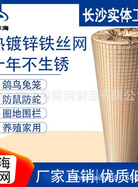 镀锌铁丝防护隔养鸡家用电焊护殖栏园养网果栅离栏