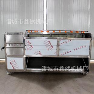 大姜 红薯 马蹄 猪蹄 毛刷清洗机不锈钢材 厂家供应 猪头 土豆