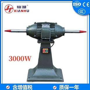 380v 3kw 抛光机打打磨机铜芯螺纹 落地式 抛光机YTP 立式 112M