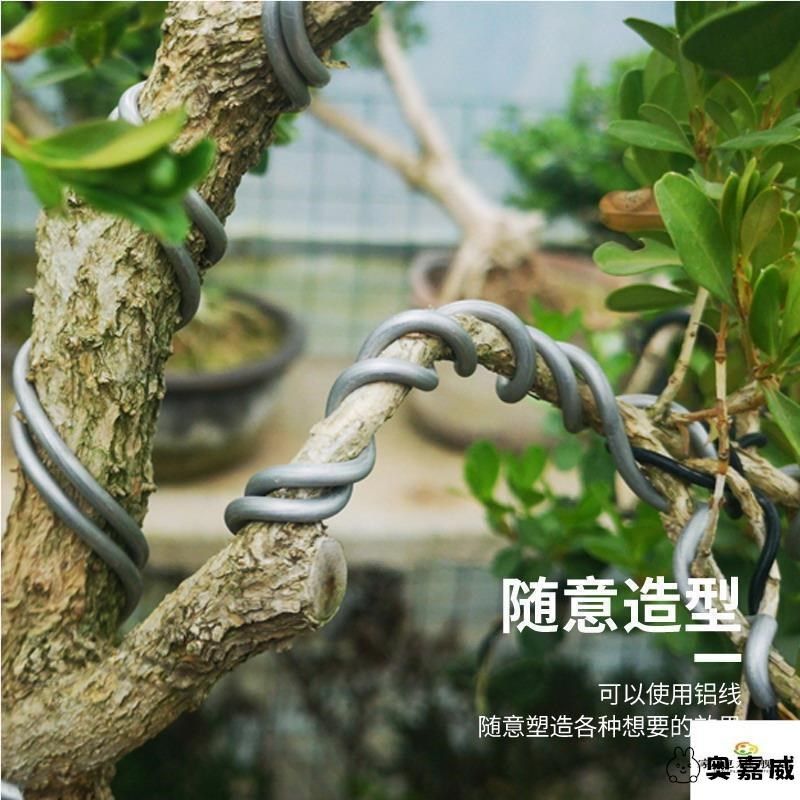 盆景造型铝丝植物造型软铁线园艺树木定型软铝线花木固定攀扎扎丝,居家布艺,线,淘宝优惠券,粉丝福利购,淘宝优惠卷