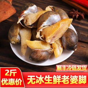 老婆脚鲍鱼螺带黄大号袋装大鲍螺海鲜水产新鲜冷冻批发