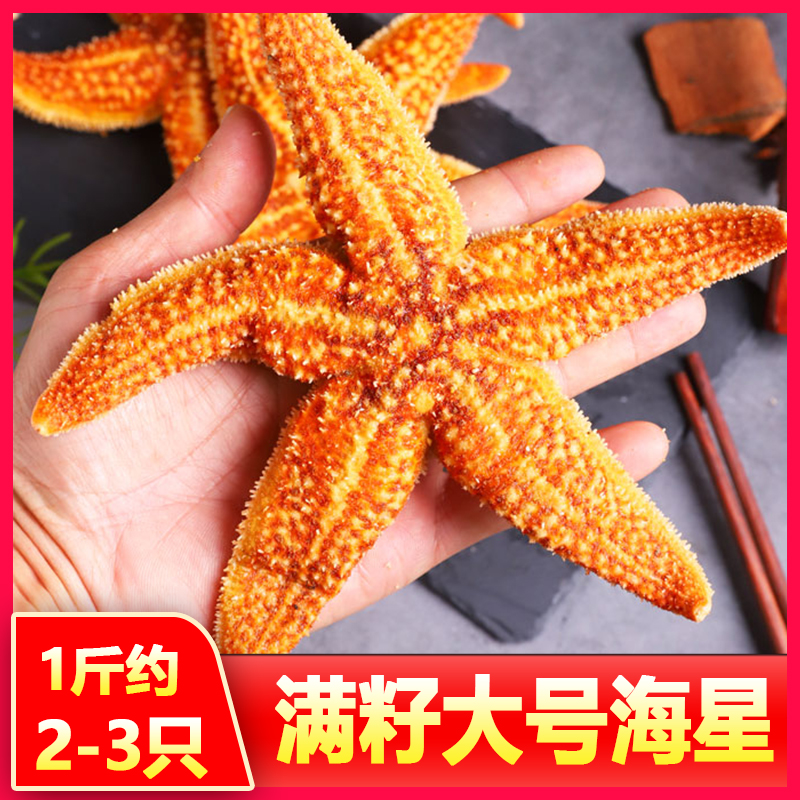 满籽大号海星新鲜速冻批发价