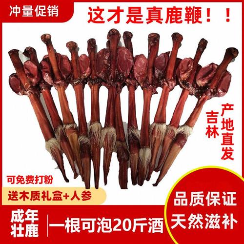 鹿鞭干整根男用正品鹿鞭滋补泡酒料新鲜鹿茸片吉林梅花鹿鹿鞭整枝