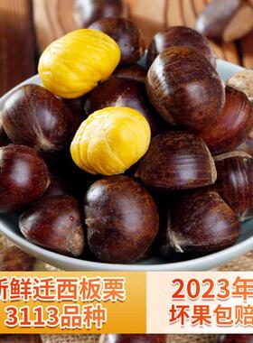 2024年新鲜下树河北迁西板栗3113生板栗皮薄更甜糯野生栗子5斤
