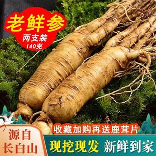 野山参鲜人参超大2枝长白山新鲜人参应季林下参煲汤泡酒送鹿茸片