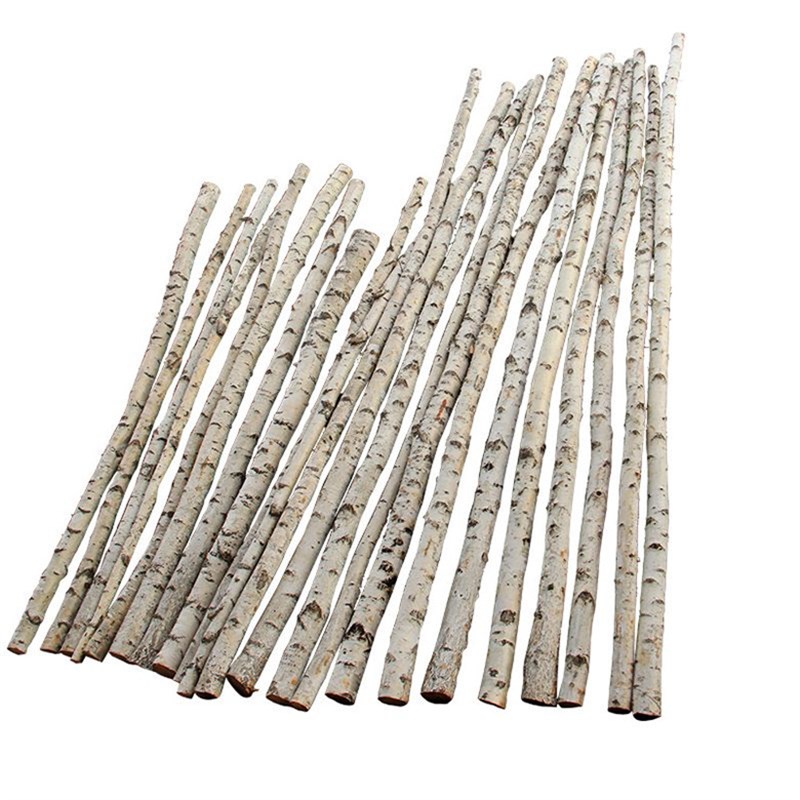 原木白桦树装饰树段树桩树枝白桦树干橱窗隔断玄关各类活动布置树