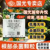国光施奇嘧菌酯恶霉灵土壤杀菌剂农药正品 植物根腐病专用颗粒 月季
