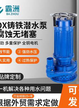 WQX高扬程工程泵纯铜电机铸铁潜水泵耐腐蚀无堵塞排水水泵高扬程