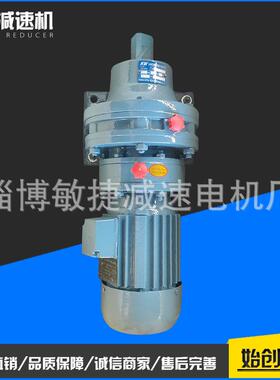 专业生产BLY立式摆线针轮减速机国茂同款BWDXWD系列现货
