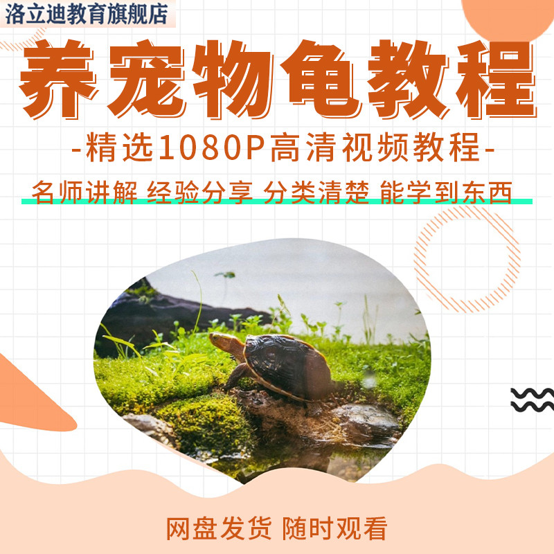 养宠物龟饲养视频教程全套从入门到精通技巧培训学习在线课程