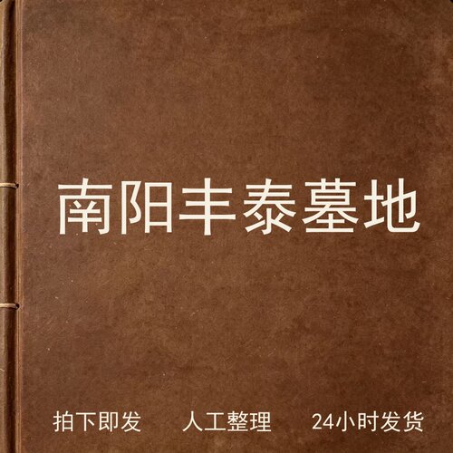 南阳丰泰墓地考古人文兴趣参考电子版
