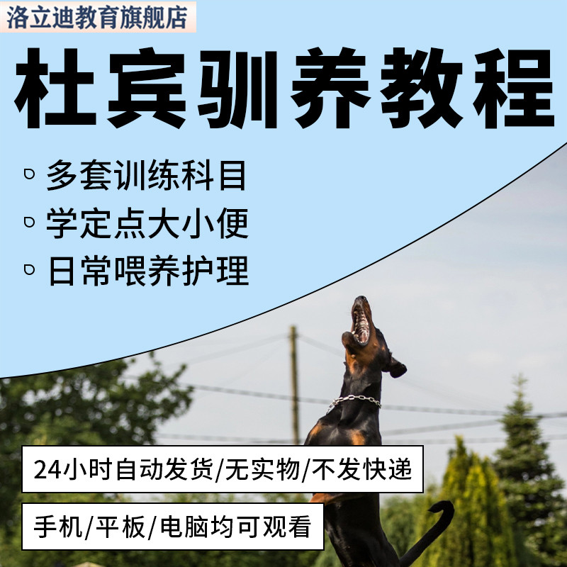 杜宾犬驯养技术教程饲养喂养选购大全套杜宾训练方法训犬教程大全