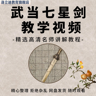 武当七星剑教学视频讲解教程功夫武术拳术强身健身学习课程