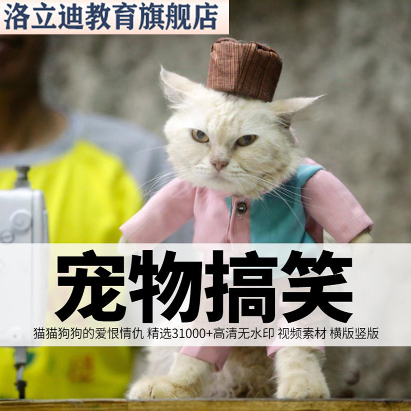 萌宠动物搞笑短视频素材国外二哈猫狗搞怪抖音推广热门高清素材