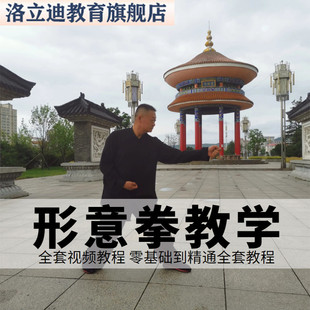 形意拳视频教程名师教学讲解内家拳功夫站桩拳法内功套路武术实用
