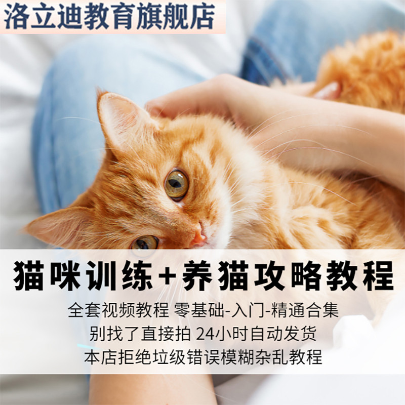 猫咪训练+养猫攻略大全技巧秘诀自学教视频程课程