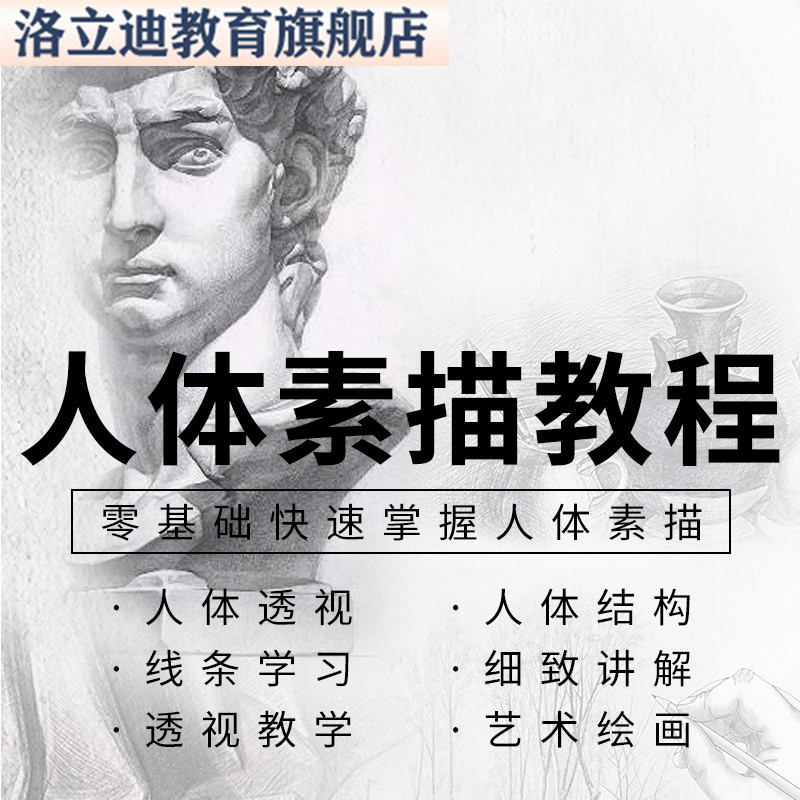 人体素描教程躯干四肢教学多角度透视艺术绘画透视彩印视频课程
