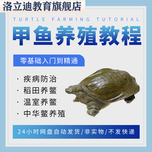 甲鱼养殖技术视频教程稻田温室养鳖疾病防治中华鳖饲养教学
