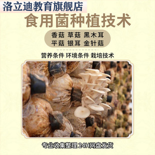 食用菌种植技术教程视频平菇香菇蘑菇草菇金针菇黑木耳人工栽培