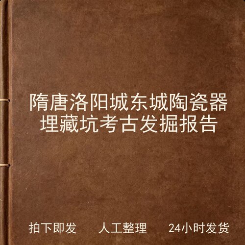 隋唐洛阳城 东城陶瓷器埋藏坑考古发掘报告电子版