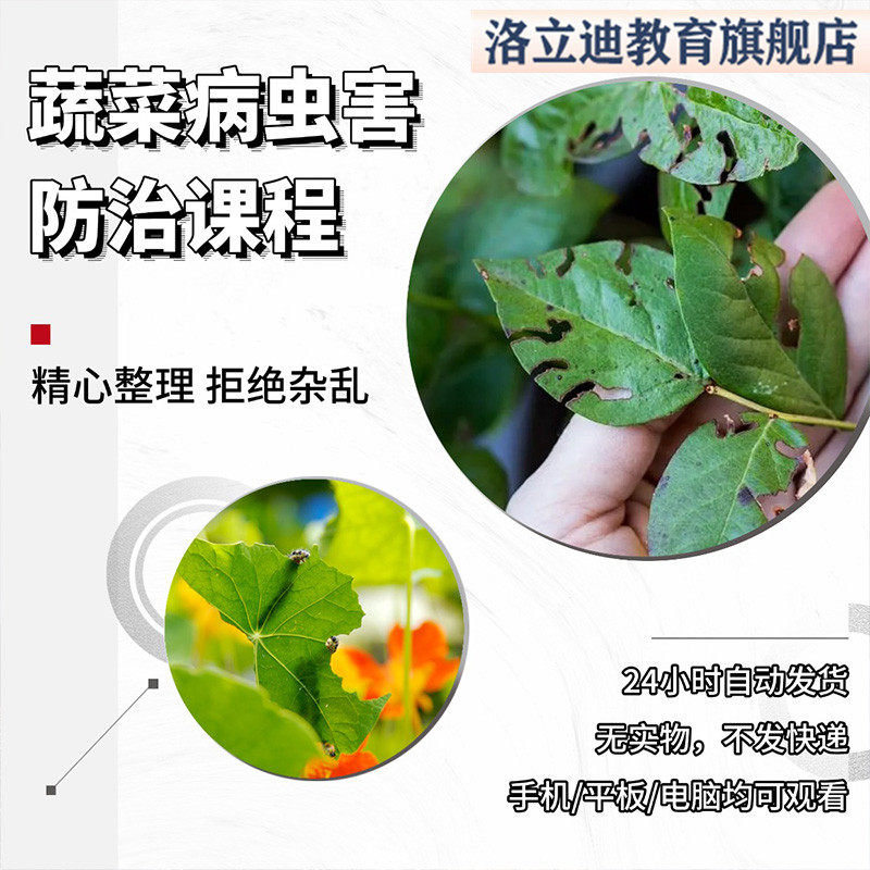 蔬菜病虫害防控技术视频教程PPT课件现鉴别图谱解白粉虱综合防治
