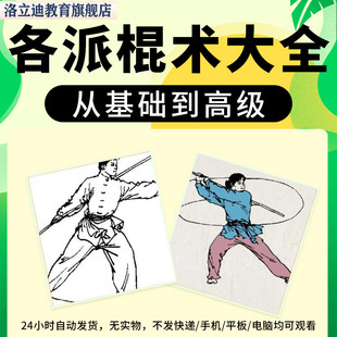 棍术少林棍双节棍短棍甩棍鞭杆疯魔棍长棍武术棍法教学视频教程