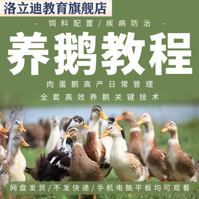 养鹅教程全套技术视频教学鹅养殖鹅病预防反季节肉鹅饲养大棚高效