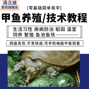 甲鱼养殖技术视频教程大棚庭院稻田人工养鳖培训资料水鱼生态饲养