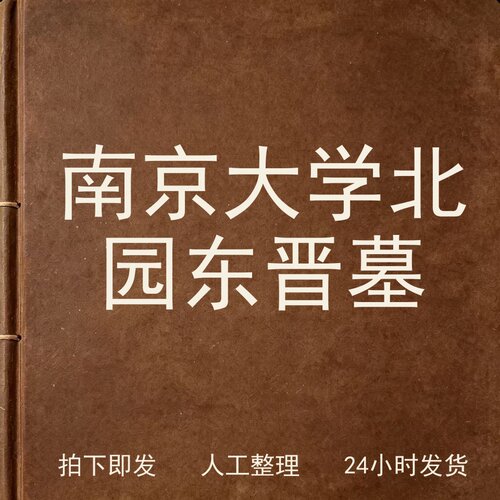 南京大学北园东晋墓考古人文兴趣参考电子版