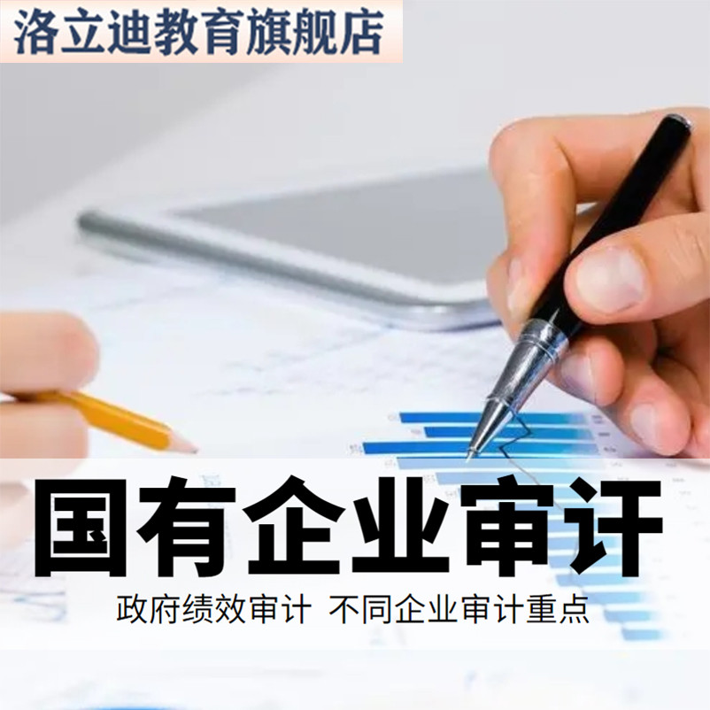 国有企业审计 政府绩效审计 企业重点审计实操视频课程