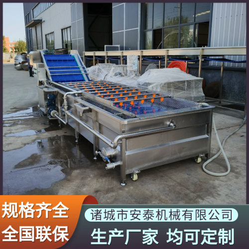 冻干毛豆清洗速冻流水线 樱桃高压气泡清洗机 专业草莓清洗设备