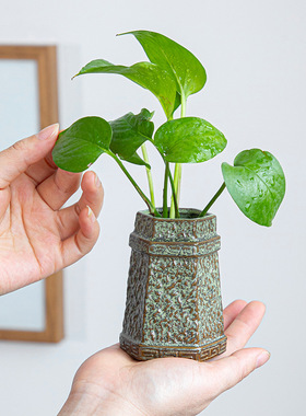 2025新款复古陶瓷花瓶绿萝水培装饰器铜钱草紫砂绿植家居摆设美饰