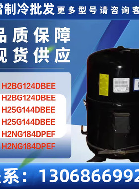 适用于H2NG184DPEF H2NG244DPEF H2NG294DPEF布里斯托空调压缩机