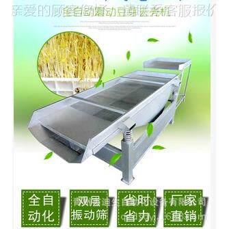 大DS-ZDS型振筛 全自动芽去皮机震动去壳豆筛皮动 无需任何水源